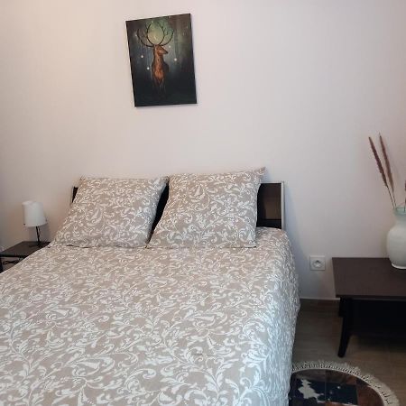 Appartamento Beau F2-5Mn Aeroport D'Orly-Parking Prive Gratuit Paray-Vieille-Poste Esterno foto